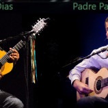 Viola de Feira
