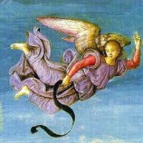 anjo violeta
