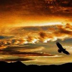 Carlos Castaneda – frases de Don Juan Matus – Sobre o Medo