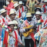 folia