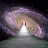 ponte