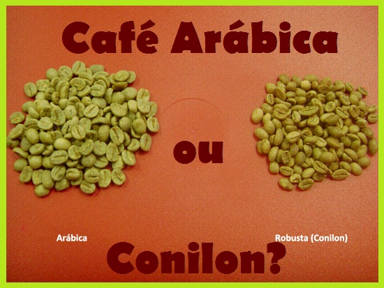 Diferenças entre Café Conilon e Café Arábica 