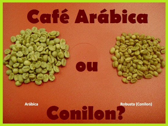 Cafe Favorito - Você sabe por que o nosso Café é 100% Arábica? 😉 Para quem  não sabe, o Café Arábica e o Conilon são espécies diferentes, se  diferenciando principalmente em seu