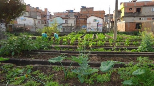 Agricultura Urbana: qualidade de vida