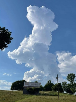 Um cão nas nuvens