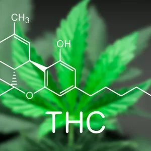 Tetrahydrocannabinol