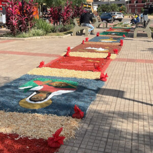 Img Corpus Christi Teixeiras